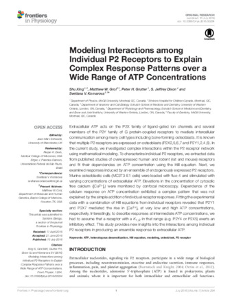 Modeling Interactions among Individual P2 Receptors to Explain Complex Response Patterns over a Wide Range of ATP Concentrations thumbnail