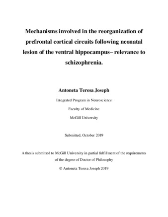 Mechanisms involved in the reorganization of prefrontal cortical circuits following neonatal lesion of the ventral hippocampus- relevance to schizophrenia thumbnail