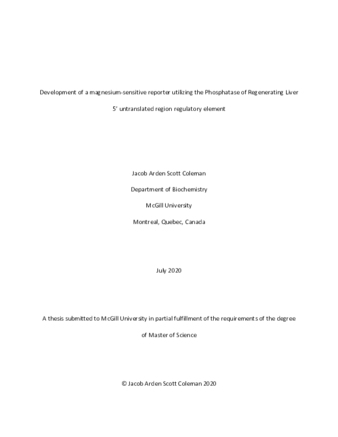 Development of a magnesium-sensitive reporter utilizing the Phosphatase of Regenerating Liver 5' untranslated region regulatory element thumbnail