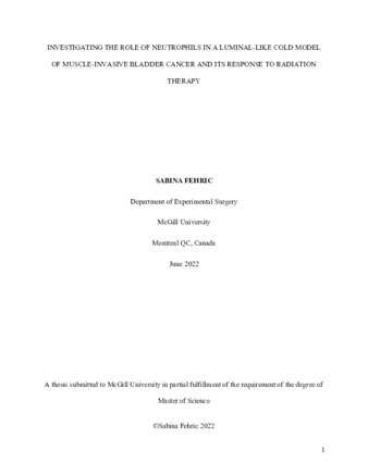 Investigating the role of neutrophils in a luminal-like model of muscle-invasive bladder cancer and its response to radiation therapy thumbnail