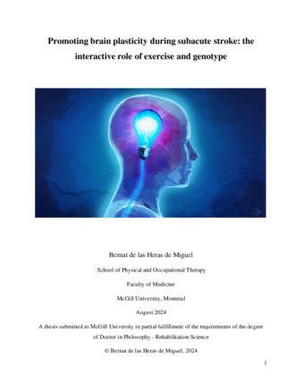 Promoting brain plasticity during sub-acute stroke: the interactive role of exercise and genotype thumbnail