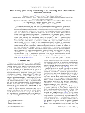 Phase resetting, phase locking, and bistability in the periodically driven saline oscillator: Experiment and model thumbnail