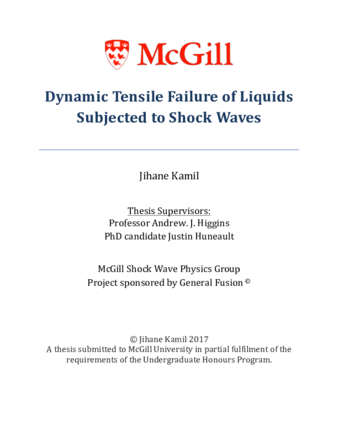 Dynamic Tensile Failure of Liquids Subjected to Shock Waves thumbnail