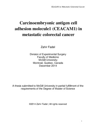 Carcinoembryonic antigen cell adhesion molecule1 (CEACAM1) in metastatic colorectal cancer thumbnail