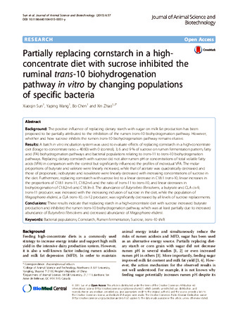 Partially replacing cornstarch in a high-concentrate diet with sucrose inhibited the ruminal trans-10 biohydrogenation pathway in vitro by changing populations of specific bacteria thumbnail