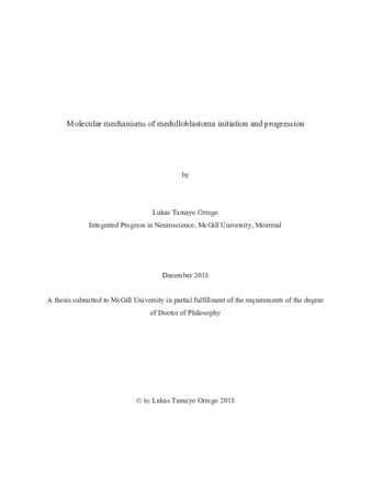 Molecular mechanisms of medulloblastoma initiation and progression thumbnail