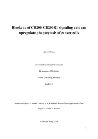 Blockade of CD200-CD200R1 signaling axis can upregulate phagocytosis of cancer cells thumbnail