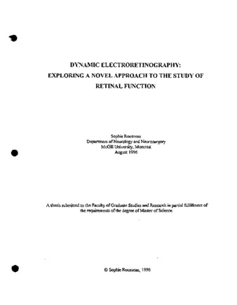 Dynamic electroretinography : exploring a novel approach to the study of retinal function thumbnail