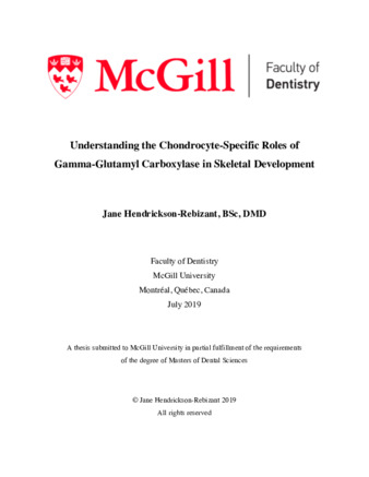 Understanding the chondrocyte-specific roles of gamma-glutamyl carboxylase in skeletal development thumbnail