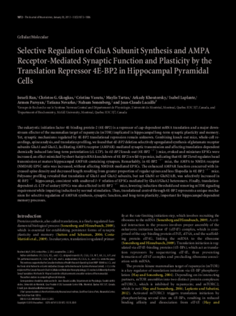 Selective Regulation of GluA Subunit Synthesis and AMPA Receptor-Mediated Synaptic Function and Plasticity by the Translation Repressor 4E-BP2 in Hippocampal Pyramidal Cells thumbnail