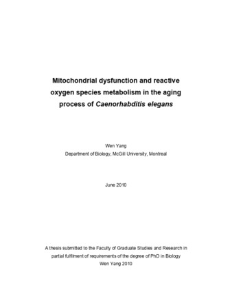 Mitochondrial dysfunction and reactive oxygen species metabolism in the aging process of «Caenorhabditis elegans» thumbnail