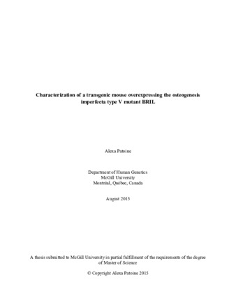 Characterization of a transgenic mouse overexpressing the osteogenesis imperfecta type V mutant BRIL thumbnail