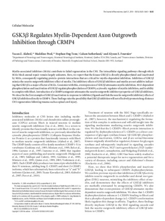 GSK3β Regulates Myelin-Dependent Axon Outgrowth Inhibition through CRMP4 thumbnail