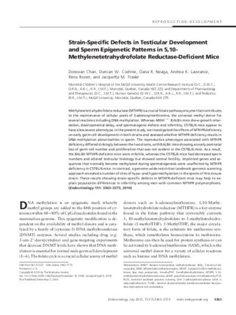 Strain-specific defects in testicular development and sperm epigenetic patterns in 5,10-methylenetetrahydrofolate reductase-deficient mice thumbnail