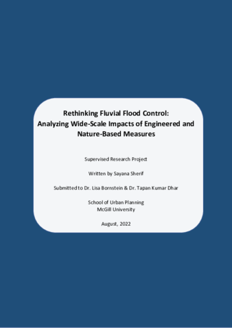 Rethinking Fluvial Flood Control: Analyzing Wide-Scale Impacts of Engineered and Nature-Based Measures thumbnail