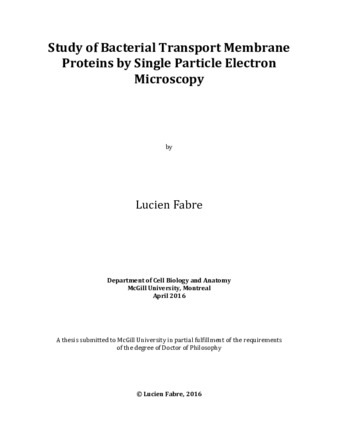 Study of bacterial transport membrane proteins by single particle electron microscopy thumbnail