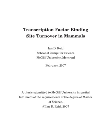 Transcription factor binding site turnover in mammals thumbnail