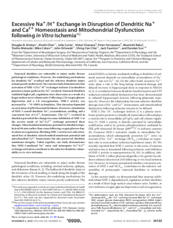 Excessive Na+/H+ exchange in disruption of dendritic Na+ and Ca2+ homeostasis and mitochondrial dysfunction following in vitro ischemia thumbnail