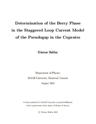 Determination of the berry phase in the staggered loop current model of the pseudogap in the cuprates thumbnail