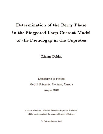 Determination of the berry phase in the staggered loop current model of the pseudogap in the cuprates thumbnail