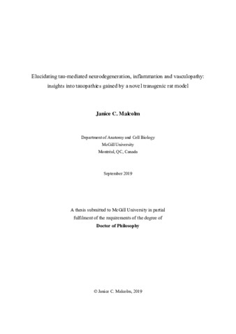 Elucidating tau-mediated neurodegeneration, inflammation and vasculopathy: insights into tauopathies gained by a novel transgenic rat model thumbnail