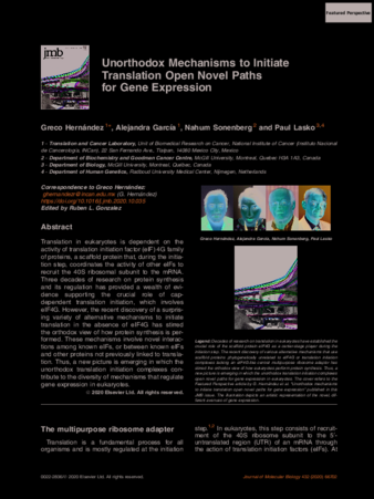 Unorthodox Mechanisms to Initiate Translation Open Novel Paths for Gene Expression thumbnail