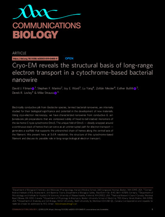 Cryo-EM reveals the structural basis of long-range electron transport in a cytochrome-based bacterial nanowire thumbnail