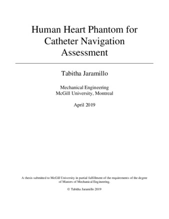 Human heart phantom for catheter navigation assessment thumbnail