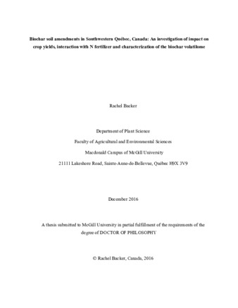 Biochar thesis pdf 07 picture