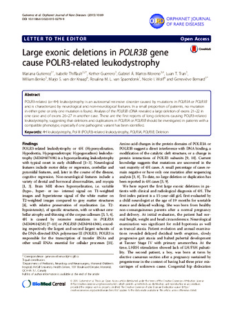 Large exonic deletions in POLR3B gene cause POLR3-related leukodystrophy thumbnail