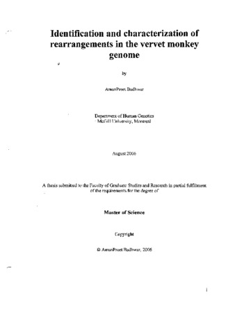 Identification and characterization of rearrangements in the vervet monkey genome thumbnail