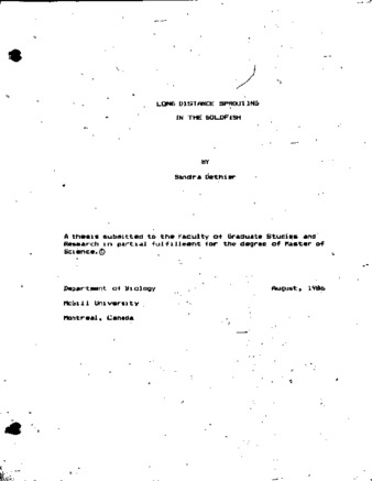 Long distance sprouting in the goldfish thumbnail