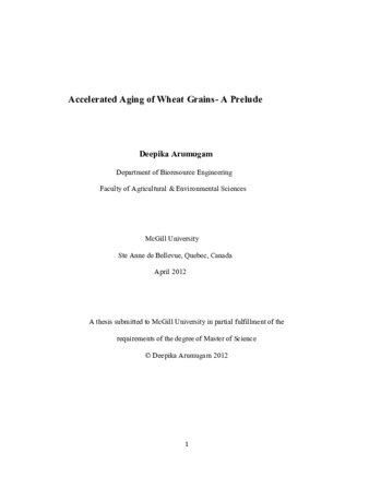 Accelerated aging of wheat grains-a prelude thumbnail
