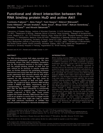 Functional and direct interaction between the RNA binding protein HuD and active Akt1 thumbnail