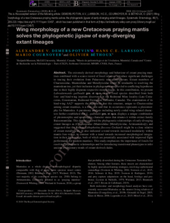 Wing morphology of a new Cretaceous praying mantis solves the phylogenetic jigsaw of early‐diverging extant lineages thumbnail