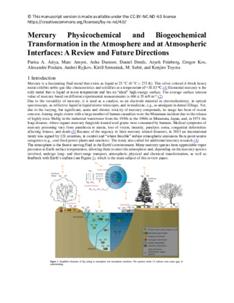 Mercury   Physicochemical   and   Biogeochemical Transformation in the Atmosphere and at Atmospheric Interfaces: A Review and Future Directions thumbnail