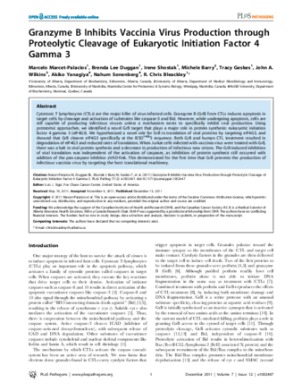 Granzyme B Inhibits Vaccinia Virus Production through Proteolytic Cleavage of Eukaryotic Initiation Factor 4 Gamma 3 thumbnail