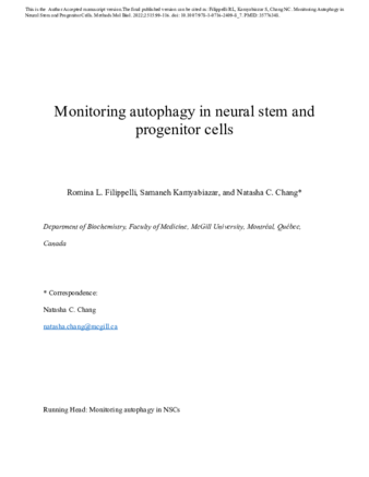 Monitoring Autophagy in Neural Stem and Progenitor Cells. thumbnail