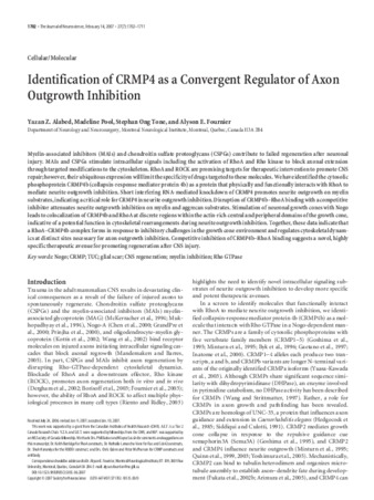 Identification of CRMP4 as a convergent regulator of axon outgrowth inhibition thumbnail