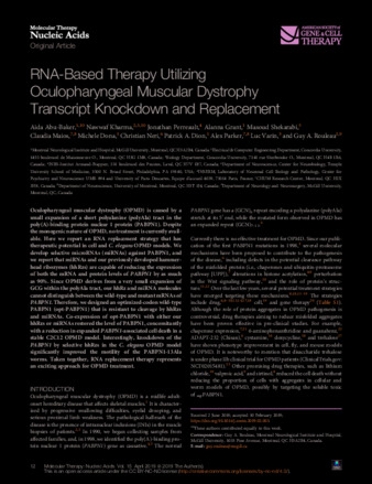 RNA-Based Therapy Utilizing Oculopharyngeal Muscular Dystrophy Transcript Knockdown and Replacement thumbnail