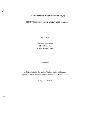 A mathematical model of steady state B lymphopoiesis in mouse and rat bone marrow / thumbnail