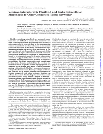 Versican Interacts with Fibrillin-1 and Links Extracellular Microfibrils to Other Connective Tissue Networks thumbnail