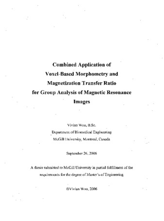 Combined application of voxel-based morphometry and magnetization transfer ratio for group analysis of magnetic resonance images thumbnail