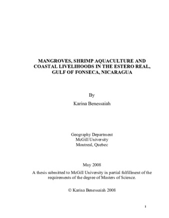 Mangroves, shrimp aquaculture and coastal livelihoods in the Estero Real, Gulf of Fonseca, Nicaragua thumbnail