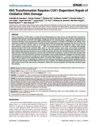 RAS-Transformation in Cancer Cells Requires CUX1-Dependent Repair of Oxidative DNA Damage thumbnail