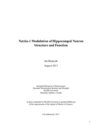 Netrin-1 modulation of hippocampal neuron structure and function thumbnail