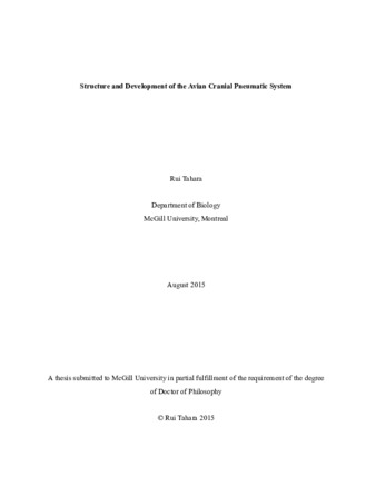 Structure and development of the avian cranial pneumatic system thumbnail