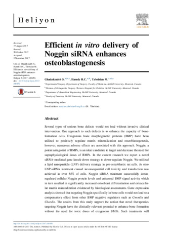 Efficient in vitro delivery of Noggin siRNA enhances osteoblastogenesis thumbnail