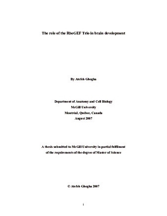 The role of the Rho guanine nucleotide exchange factor Trio in brain development thumbnail