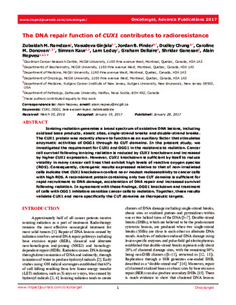 The DNA repair function of CUX1 contributes to radioresistance thumbnail